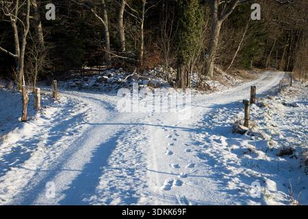sentiero invernale con neve e impronte che conduce in due direzioni Foto Stock