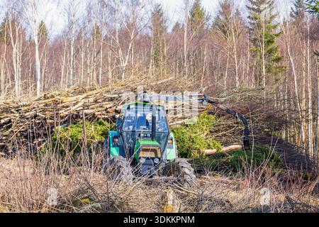 Silvicoltura con un trattore che carica alberi con una gru Foto Stock