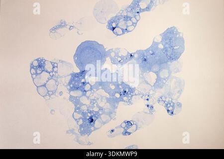 Bolle di schiuma di sapone viola essiccate su cartone beige , schema astratto a spruzzo, piatto Foto Stock