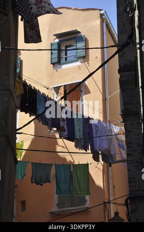 Finestre, clothesline, lavanderia, case, Rovigno, Istria, Croazia, città vecchia, facciata, casa, edificio, architettura Foto Stock