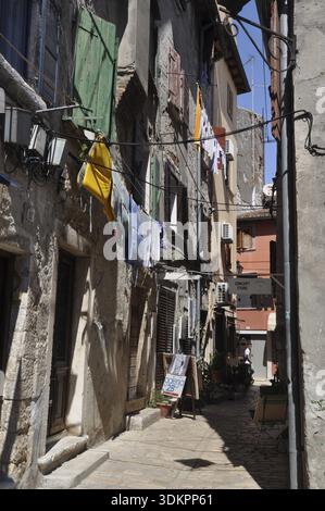 Finestre, clothesline, lavanderia, case, Rovigno, Istria, Croazia, città vecchia, facciata, casa, edificio, architettura Foto Stock