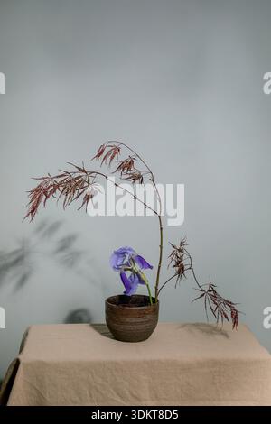 Elegante vaso in ceramica con composizione floreale in ikebana giapponese. Fiore di Iris viola con rami secchi sfondo neutro stile wabisabi minimalista. Foto Stock