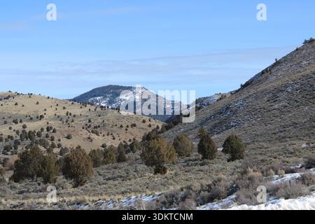 Colline innevate con Sagebrush Foto Stock