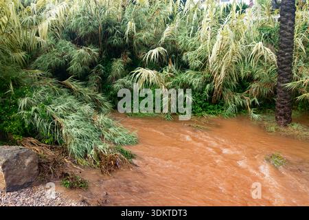 Strade urbane inondate di acqua che trabocca dagli scarichi quando le persone liberano le acque alluvionali e i veicoli si spostano attraverso le aree colpite dopo una pioggia intensa. Spagna. Foto Stock