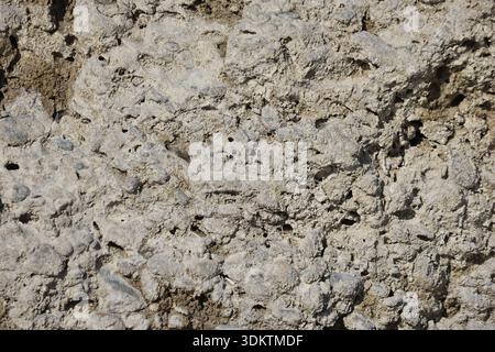 Struttura della superficie rocciosa del conglomerato naturale: Primo piano di pietra sedimentaria con ciottoli e grani di sabbia incorporati in una formazione minerale solida Foto Stock