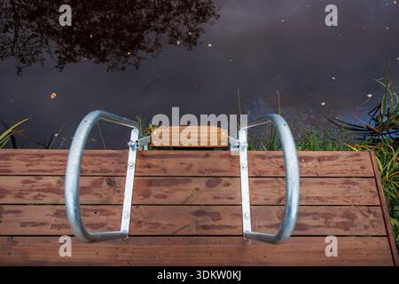 Un molo in legno con corrimano in metallo si estende per acque calme che riflettono i rami degli alberi, con erba e canne visibili lungo il bordo dell'acqua. Foto Stock