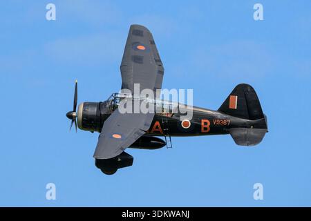 Il classico velivolo leggero Westland Lysander WW2 in tutti i colori operativi SOE neri Foto Stock