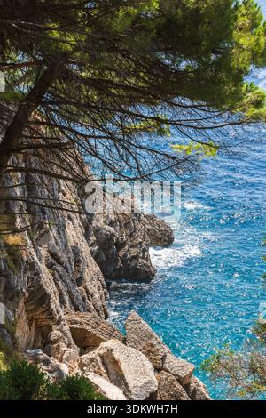 Una spettacolare scena costiera caratterizzata da aspre scogliere calcaree, un vasto pino e acque cristalline scintillanti al sole. Perfetto per la natura, tr Foto Stock