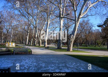 Neve invernale nel parco della città di Budapest Foto Stock