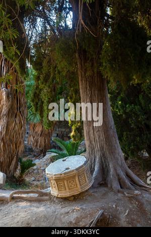 Colonne tamburi sotto un albero, parte delle rovine dell'agorà romana a Kos (mercato) in Grecia Foto Stock