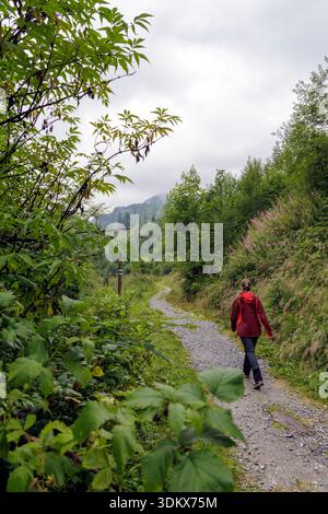 Una donna solitaria in giacca impermeabile rossa cammina lungo uno stretto sentiero di ghiaia attraverso una lussureggiante vegetazione verde e alberi sulle montagne. Foto Stock