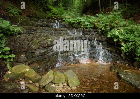 Cascata di Shandra tra la foresta verde dei Carpazi ucraini. Una piccola cascata a più livelli si rovescia su pareti rocciose piane, creando una dolce cascata d'acqua Foto Stock