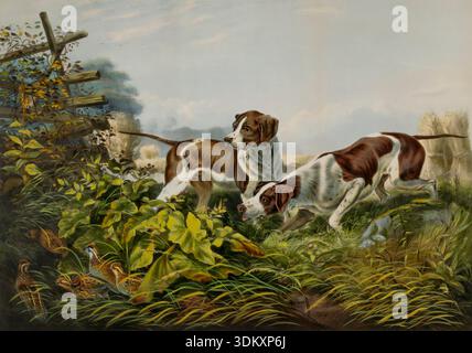 Illustrazione storica intitolata American Field Sports. "In un punto.", raffigurante due cani da caccia in pausa in erba alta mentre puntano gli uccelli selvatici in un paesaggio rurale. Creato da Charles Parsons dopo Arthur Fitzwilliam Tait e pubblicato da Currier e Ives tra il 1857 e il 1907. Foto Stock