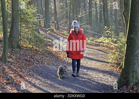 Donna che cammina attraverso la foresta invernale con il cane, retroilluminazione Foto Stock