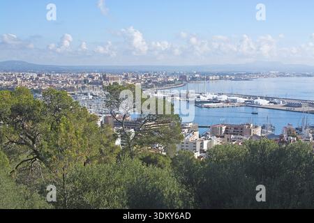 PALMA DE MALLORCA, SPAGNA - 11 DICEMBRE 2016: Vista di Palma e del porto turistico in una giornata di sole l'11 dicembre 2016 a Palma de Mallorca, Spagna Foto Stock