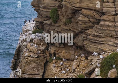 Peniche, Portogallo - formazioni rocciose nelle acque dell'Oceano Atlantico nelle vicinanze Foto Stock