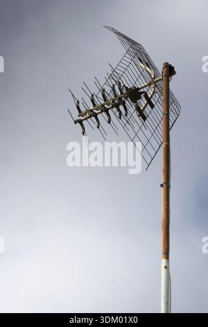Antenna analogica su cielo nuvoloso con macchie di blu Foto Stock