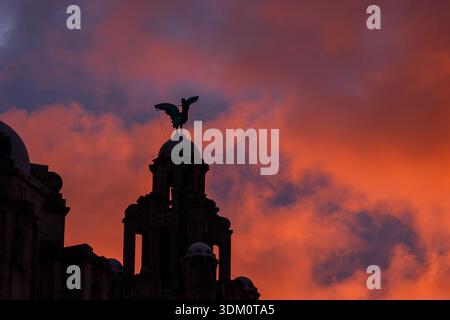 Sagoma dell'uccello del fegato in cima al Royal Liver Building contro un suggestivo cielo arancione e viola a Liverpool Foto Stock