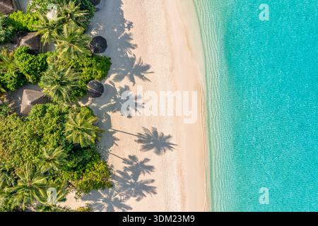 Immersiva isola di palme aeree delle Maldive vista dall'alto paradiso mozzafiato destinazione di viaggio di lusso costiera turchese viaggio a terra sull'oceano Foto Stock