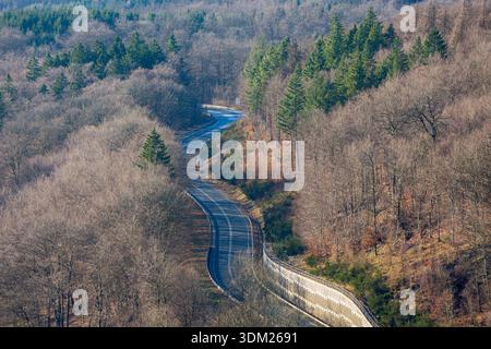 Una tortuosa strada asfaltata curva attraverso un paesaggio collinare boscoso circondato da boschi misti. Foto Stock