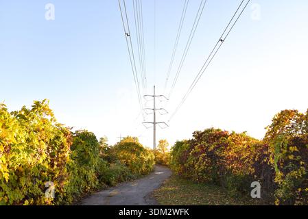Percorso ciclabile con fogliame autunnale lungo il Canal de l'Aqueduc a Montreal, Quebec, Canada Foto Stock