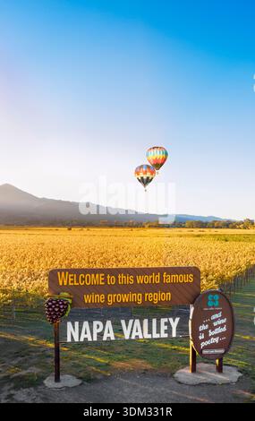 Vista aerea dell'insegna della Napa Valley vicino a Oakville al tramonto nella contea di Napa, California, Stati Uniti Foto Stock