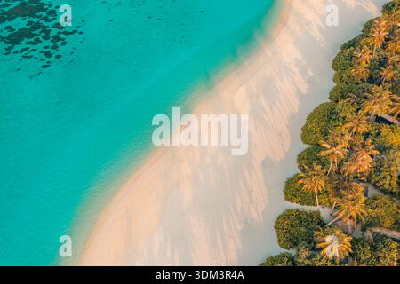 Vista aerea mozzafiato di un banco di sabbia incontaminato con palme, il vivido oceano turchese delle Maldive, l'isola paradisiaca tropicale da sogno, un luminoso viaggio in droni Foto Stock