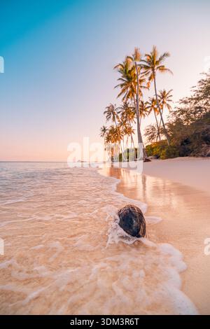 Tranquilla spiaggia estiva di cocco onde dolci spiaggia sabbiosa palme esotiche rilassanti all'aperto tropicale Foto Stock