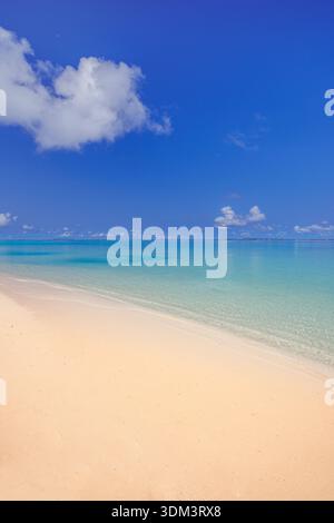 Soleggiata spiaggia tropicale verticale onde oceaniche turchesi spiaggia sabbiosa sfondo di viaggio estivo Foto Stock