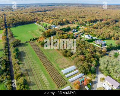 paesaggio aereo della corte del ranch a sagaponack, new york Foto Stock