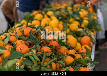 Mandarini freschi con foglie verdi in esposizione al mercato Foto Stock