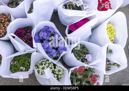 Vivace assortimento di mazzi di fiori freschi colorati avvolti in carta bianca per la vendita al mercato. Questa allegra collezione mostra bellissimi vari Foto Stock