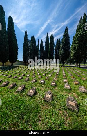 File di piccole pietre nel cimitero austro-ungarico fiancheggiate da alti cipressi sotto un cielo blu. Foto Stock
