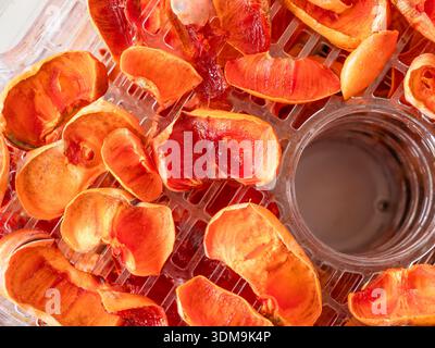 Fette di cachi secche su vassoio di plastica all'interno del disidratatore, concetto di alimentazione sana, nutrizione, cibo crudo. Vista dall'alto in primo piano. Foto Stock