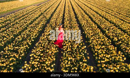 Una donna irriconoscibile che indossa un abito rosso si erge dietro alla macchina fotografica in un vasto campo di fiori di tulipani gialli al tramonto. Cultura dei tulipani olandesi, stagione primaverile. Foto Stock