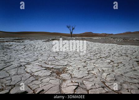 Sossusvlei nel deserto del Namib, vista di gravi condizioni di siccità che causano la rottura della terra Foto Stock