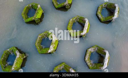 Vista dall'alto verso il basso delle maree esagonali in cemento ricoperte di alghe verdi nell'estuario di Mersey Foto Stock