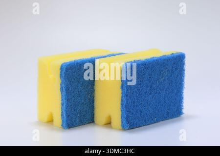 Spugne isolati su sfondo bianco Foto Stock