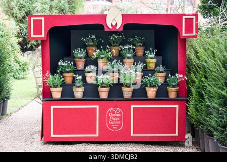 Mostra Snowdrop nel giardino Chelsea Physic Foto Stock