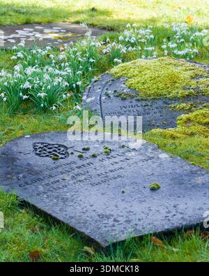 Gocce di neve e lapidi a Welford Foto Stock