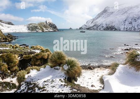 Elsehul Bay, nell'Oceano meridionale, è una baia perfettamente riparata sulla costa settentrionale dell'Isola della Georgia del Sud. Nave da spedizione all'ancora. Foto Stock