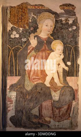 NOVARA, ITALIA - 15 GENNAIO 2026: L'affresco della Madonna nella chiesa Cattedrale di Santa Maria Assunta di un artista sconosciuto del 15. centesimi. Foto Stock
