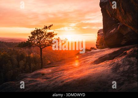 Vista dalla roccia di Carola sul Parco Nazionale della Svizzera sassone al tramonto, in primo piano su un pittoresco albero morto Foto Stock