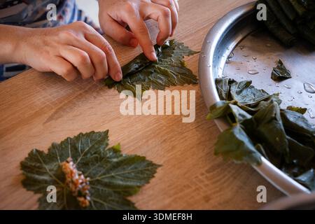Le mani preparano la dolma turca, le foglie d'uva ripiene arrotolate con ripieno tradizionale di riso e erbe aromatiche, un processo culinario per la cucina mediterranea Foto Stock