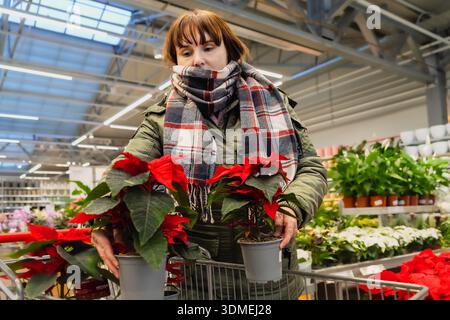 La donna che acquista con i capelli castani seleziona piante poinsettia rosse in un negozio floreale ben illuminato, circondato da varie piante e decorazioni natalizie, cr Foto Stock