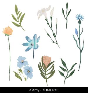 Serie di illustrazioni ad acquerello disegnate a mano di fiori primaverili ed estivi. Delicati e vibranti elementi floreali dipinti in un delicato e luminoso stile acquerello Foto Stock