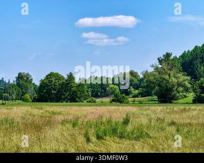 Sulla Laugna nel Parco naturale delle foreste occidentali di Augusta tra Welden ed Emersacker. Foto Stock