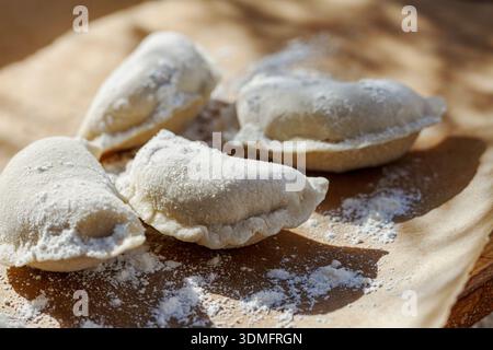 Gnocchi crudi appena fatti ricoperti di farina bianca su una teglia da forno in una cucina professionale durante il processo di preparazione. Foto Stock