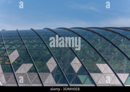 Vista ravvicinata della struttura toroidale, delle piante e degli alberi può essere vista crescere all'interno dell'aeroporto Jewel Changi di Singapore. Foto Stock