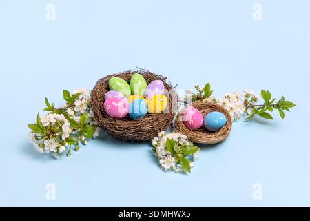 Uova dipinte di Pasqua in nidi di uccelli e rami di ciliegio primaverili in fiore su un tavolo blu con spazio per testo e saluti. Pasqua e primavera. Sfondo primaverile Foto Stock